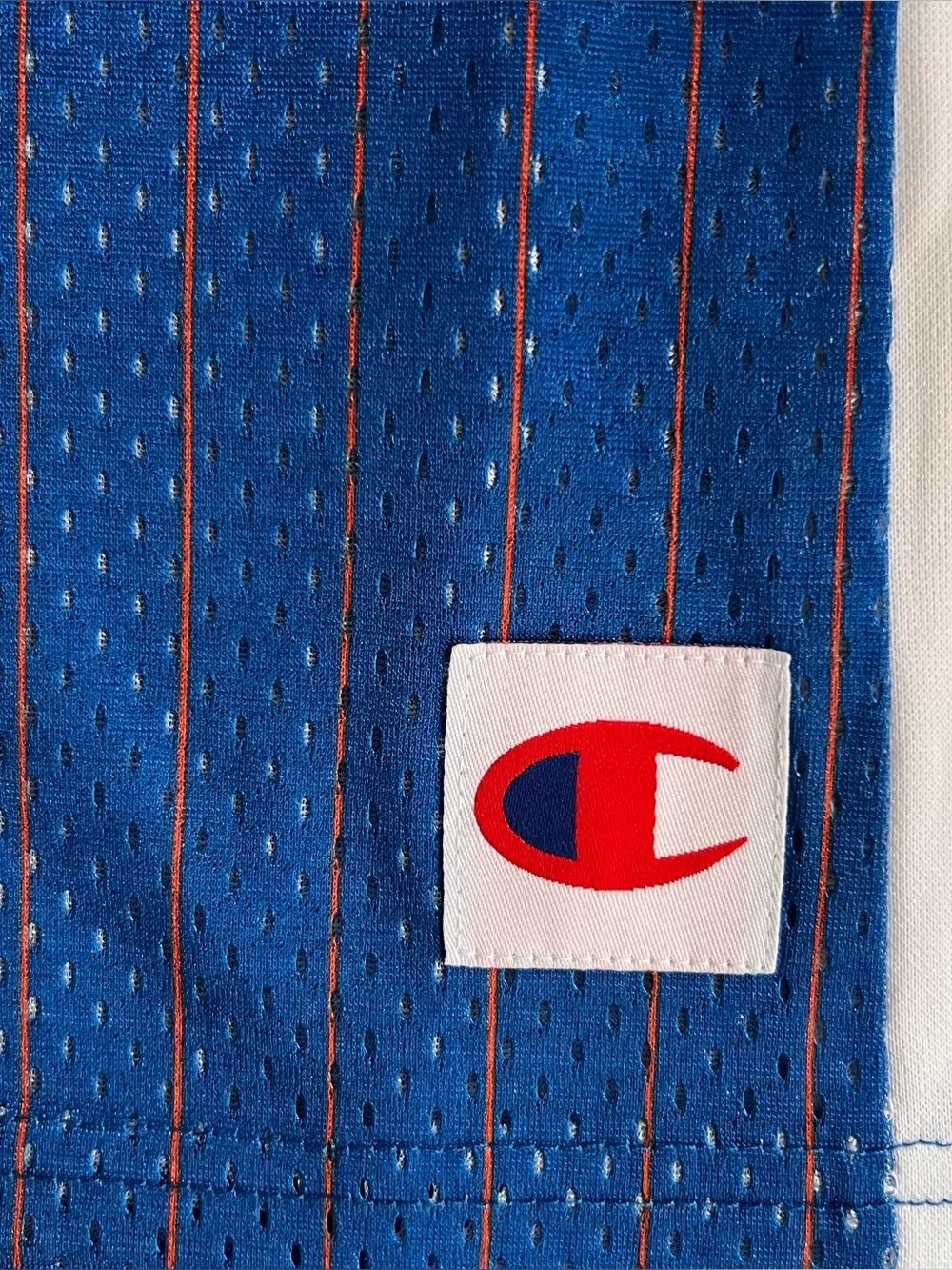 Champion Space Jam 30th Anniversary #96 Mesh Basketball Jersey Youth Large - Picture 4 of 8